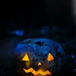 Dead Of The Night